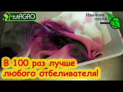 Видео: СТИРКА МАРГАНЦОВКОЙ УБИРАЕТ ВЪЕВШУЮСЯ ГРЯЗЬ и СТАРЫЕ ПЯТНА! ✅ Отбеливание белья марганцовкой.