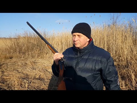 Видео: ТОЗ-63.Проверка боя ружья.