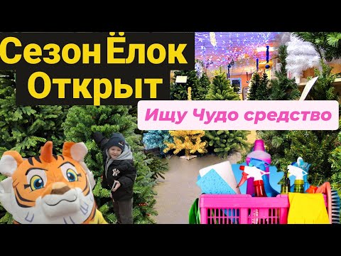 Видео: VLOG: Сезон Ёлок открыт 🥳