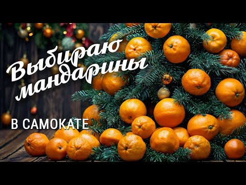 Видео: Не покупайте мандарины в Самокате, пока не посмотрите это видео!