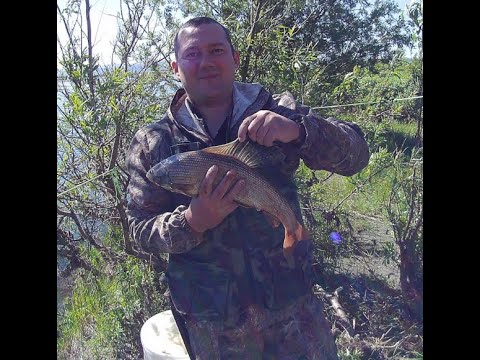 Видео: Горные реки в поисках хариуса ч 1.