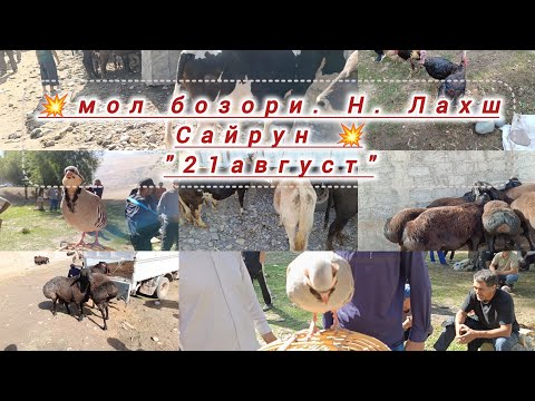 Видео: 💥мол бозори "сайрун" тамошо-к💥👍