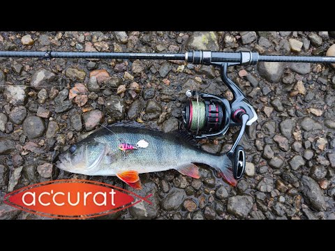 Видео: ЛОВЛЯ ОКУНЯ НА МІЛЯКУ !!! ТЕЙЛ СПІНЕР В ДІЛІ !!!