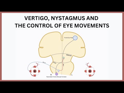 Видео: Объяснение головокружения, нистагма и контроля движений глаз