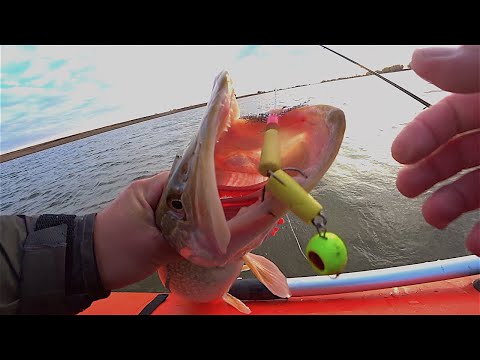 Видео: ПОИСК СУДАКА В НОЯБРЕ 2020 !!СУДАК НА МАНДУЛУ!  Не за РЫБОЙ , а НА РЫБАЛКУ!!?