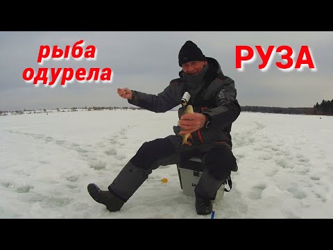 Видео: ТАКОГО Я НЕ ОЖИДАЛ. ВСЯ РЫБА ЗА ПОЛТОРА ЧАСА. Рыбалка на РУЗЕ в последний день зимы.