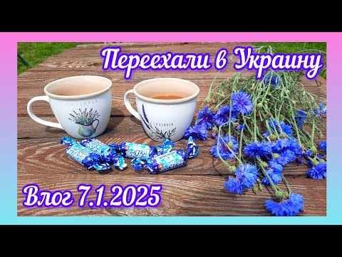 Видео: Переезд. Часть последняя. И о вязании /влог 7.1.2025