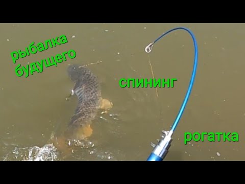 Видео: Новый вид рыбалки  спининг + рогатка Поймал огромного сазана. #slingshotfishing#새총낚시