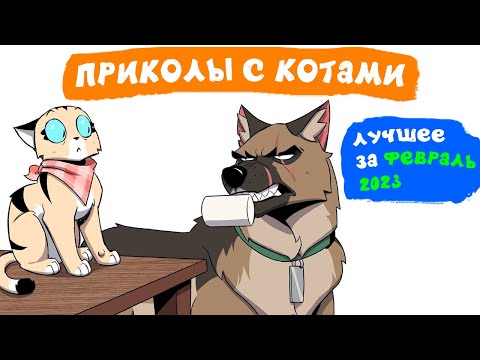 Видео: Приколы с котами. ЛУЧШЕЕ ЗА ФЕВРАЛЬ 2023 | Мемозг