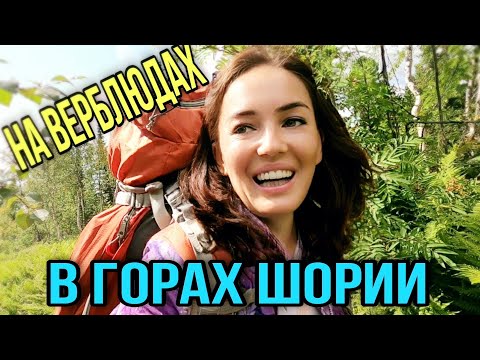 Видео: Первый раз в горах и сразу ТАКОЕ!!!