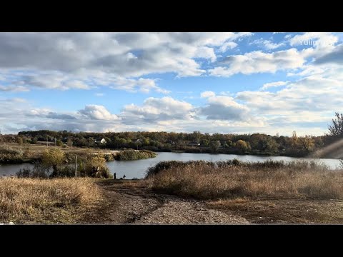 Видео: Не поверите! Выбрались по грибы — вот что нашли!
