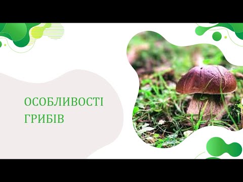 Видео: Особливості грибів