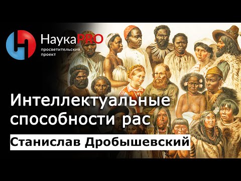 Видео: Интеллектуальные способности рас | Лекции по антропологии – Станислав Дробышевский | Научпоп