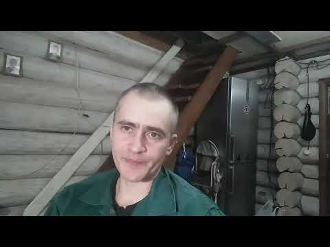 Видео: Выпойка телят без молока