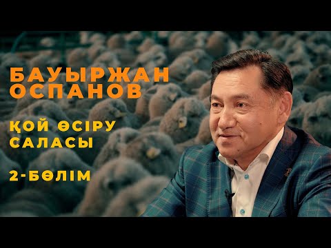 Видео: Мал шаруашылығы. 2-бөлім: Бауыржан Оспановтың қой шаруашылығы жайлы