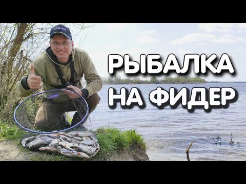 Видео: Рыба на фидер клюёт взаброс! Дяде Фёдору остаётся только подобрать самый результативный крючок...