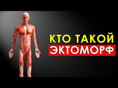 Видео: Эктоморф: Как Правильно Питаться и Накачаться Худому?