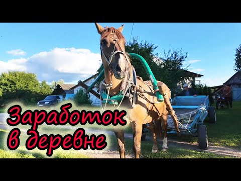 Видео: Заработали в деревне //  Заготовили солому // Сделали ремонт // Любопытные коровы // Жизнь в деревне