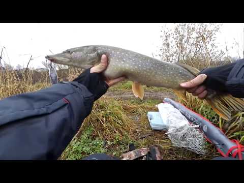 Видео: ЩУКА НА КАСТМАСТЕР С АЛИЭКСПРЕСС. Эпизод первый: сухопутный.