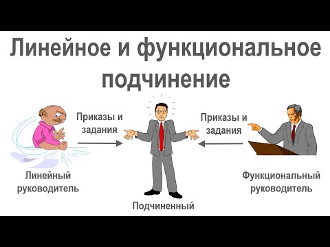 Видео: Линейное (прямое, административное) и функциональное подчинение в организационной структуре