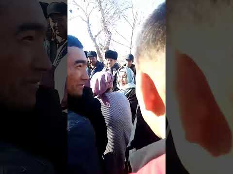 Видео: Сары-алтын мекрайон 2.келін келді.4 февраля 2024 г.