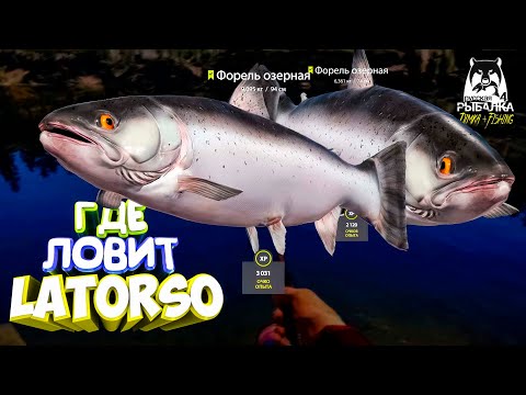 Видео: Русская рыбалка 4.🎣🦈 оз. Куори 🐬🐬💦 ГДЕ ЛОВИТ LATORSO 👀