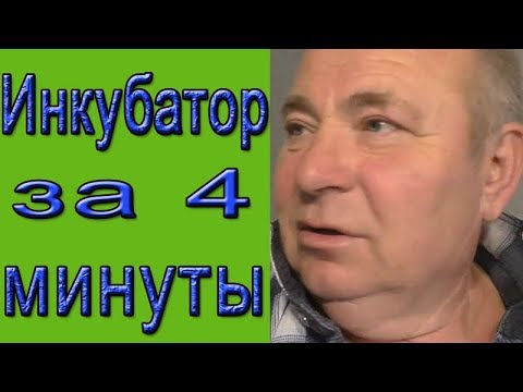 Видео: Уборка и дезинфекция инкубатора | Как за 4 минуты собрать инкубатор