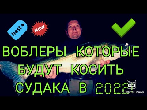 Видео: Эти воблеры будут косить судака в 2022 году! Обзор Kosadaka ION XS 70S !