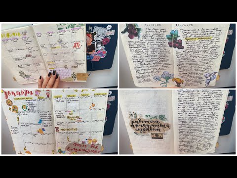 Видео: Как я вела предыдущий ежедневник/личный дневник