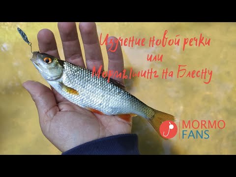 Видео: Изучение новой речки или Мормышинг на блесну