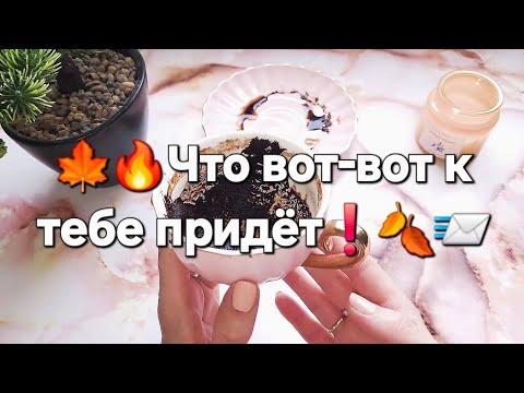 Видео: ❗️💯🔥Что стучит / гремит / на вашем пороге стоит 🔥ЧЕМ ПОРАДУЮТ ГРЯДУЩИЕ ДНИ 