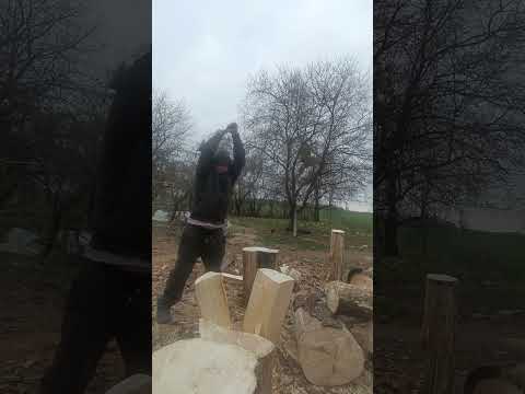 Видео: Как колоть большие брёвна!!!!