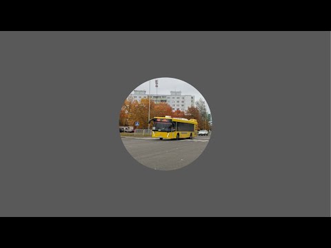 Видео: Стрим как я иду