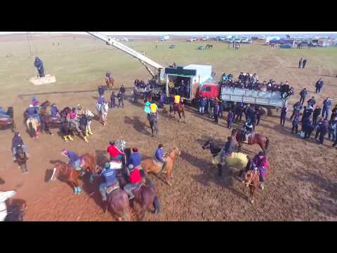 Видео: Тастанқұловтар әулеті көкпары Сарыагаш 13 02 20  №1
