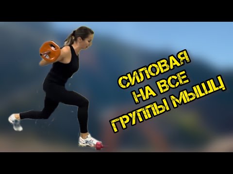 Видео: Силовая тренировка на все группы мышц | You Fitness Star