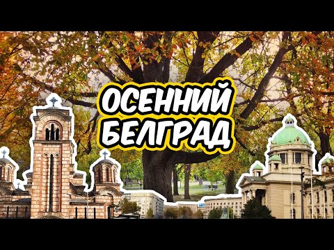 Видео: Осенний Белград: Прогулка через красоту