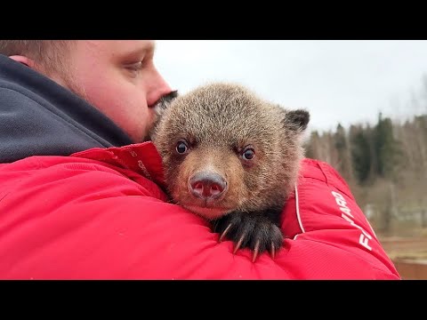 Видео: Крошка-мишутка ВЫШЕЛ НА ПРОГУЛКУ, а нас СЕРЬЁЗНО ЗАТОПИЛО! Обращаемся ЗА ПОМОЩЬЮ к друзьям парка!