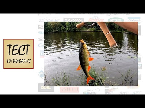 Видео: Мормышинг. В поисках крупной красноперки.