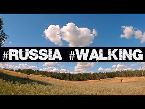 Видео: /Russia,​​ walking in the Volgograd region/ Прогулка в лесополосе. Рудня, Волгоградская область.