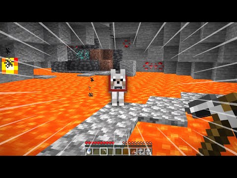 Видео: вся боль в одном видео