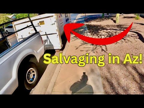 Видео: Ныряние в мусорных баках под палящим солнцем пустыни ☀️ ￼