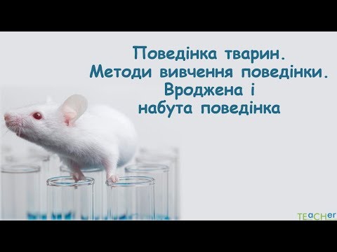 Видео: Поведінка тварин, методи її вивчення. Вроджена і набута поведінка