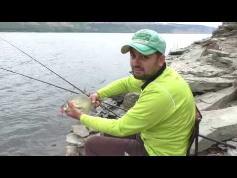 Видео: Флэт - фидер ловля леща на новом месте.