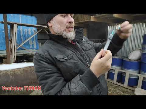 Видео: Лахиб Вакцина от Гриппа и столбника, вторая.Туман.
