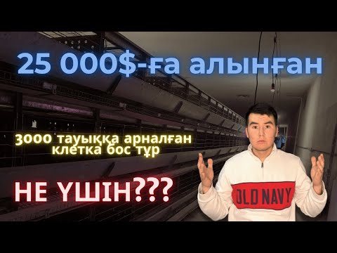 Видео: 3000 бас тауыққа арналған клетка | Жұмыртқа бизнесі