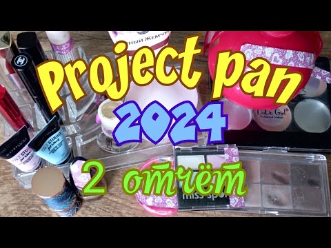 Видео: Project pan 2024/Неожиданный результат в румянах/2 отчёт