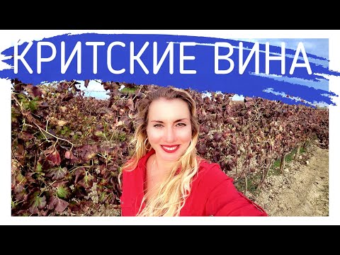 Видео: Критские вина от А до Я! Алёна Фортунаки🇬🇷Крит-Гид