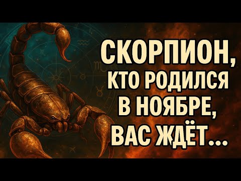 Видео: Скорпион. Если ты родился в ноябре — этот период может изменить ВСЁ. Гороскоп для Скорпиона ноябрь.