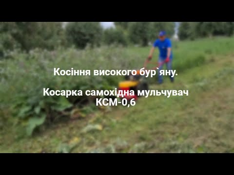 Видео: Косарка самохідна мульчувач КСМ-0,6. Косіння високого бур`яну. Огляд в роботі.