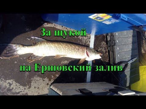 Видео: За щукой на Ершовский залив. Иркутское водохранилище